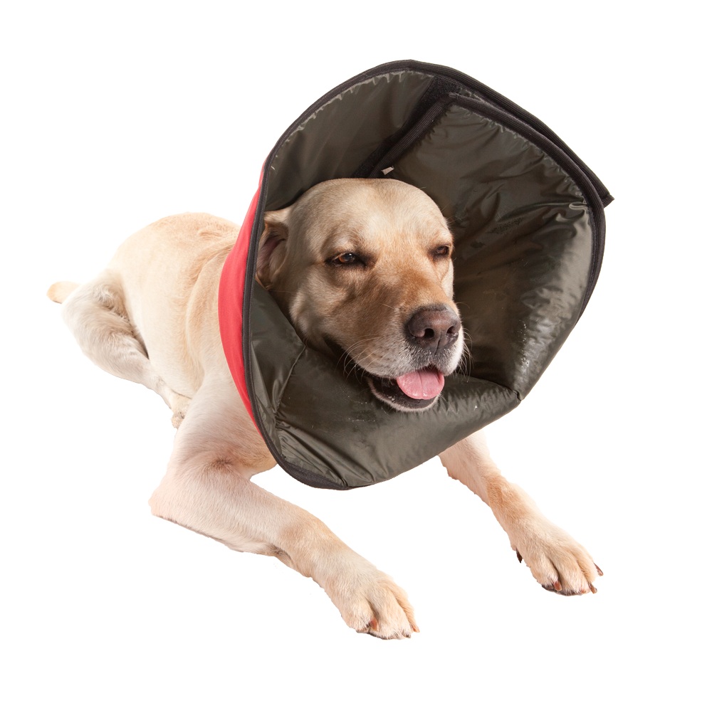 Colar Elizabetano de Tecido Pet Med Cães e Gatos Conforto Vermelho e Preto