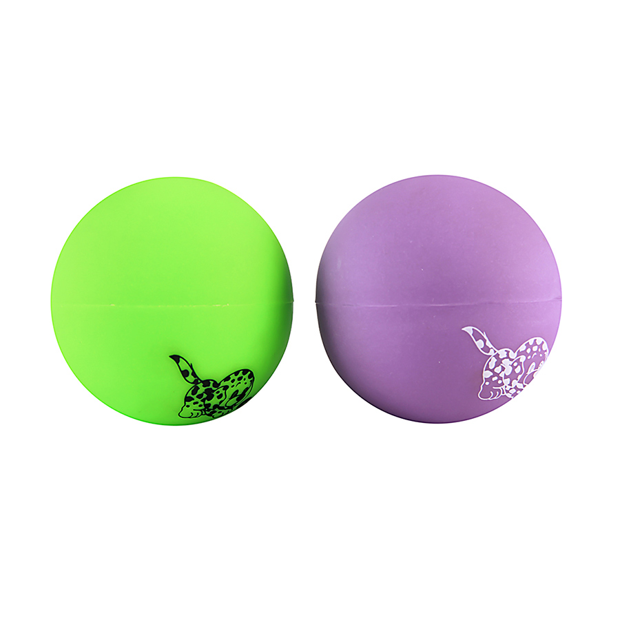 Brinquedo Líder Pet Bola de Adestramento para Cães - Cores Sortidas