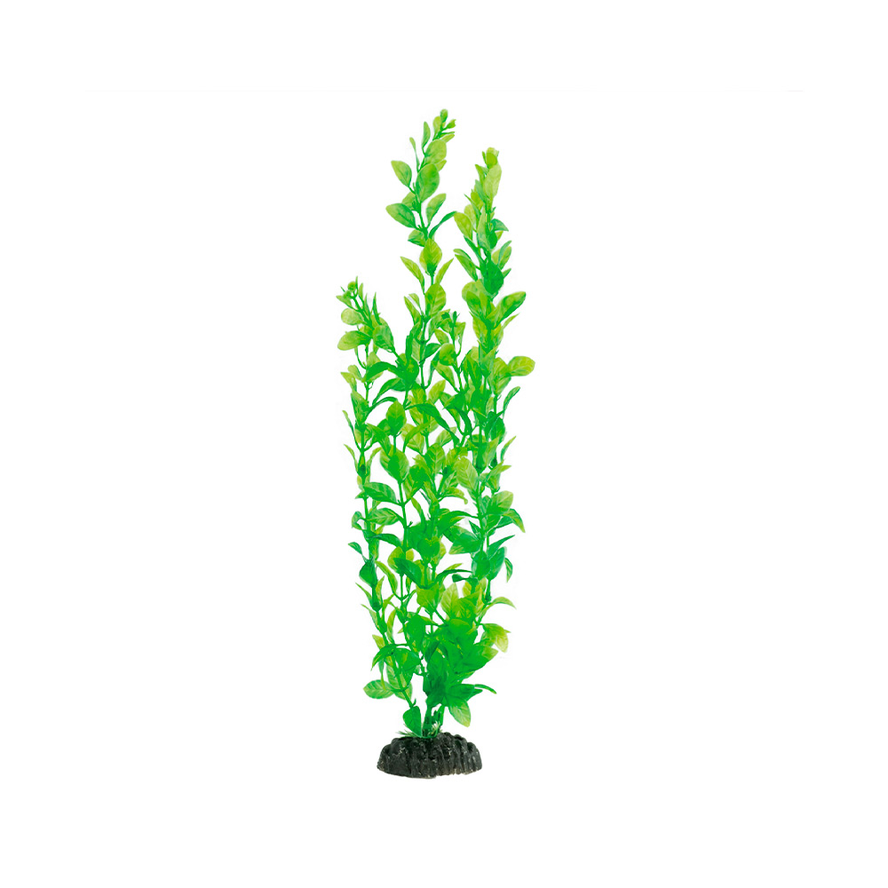 Enfeite Soma Planta Plástica Economy MOD404 para Aquários