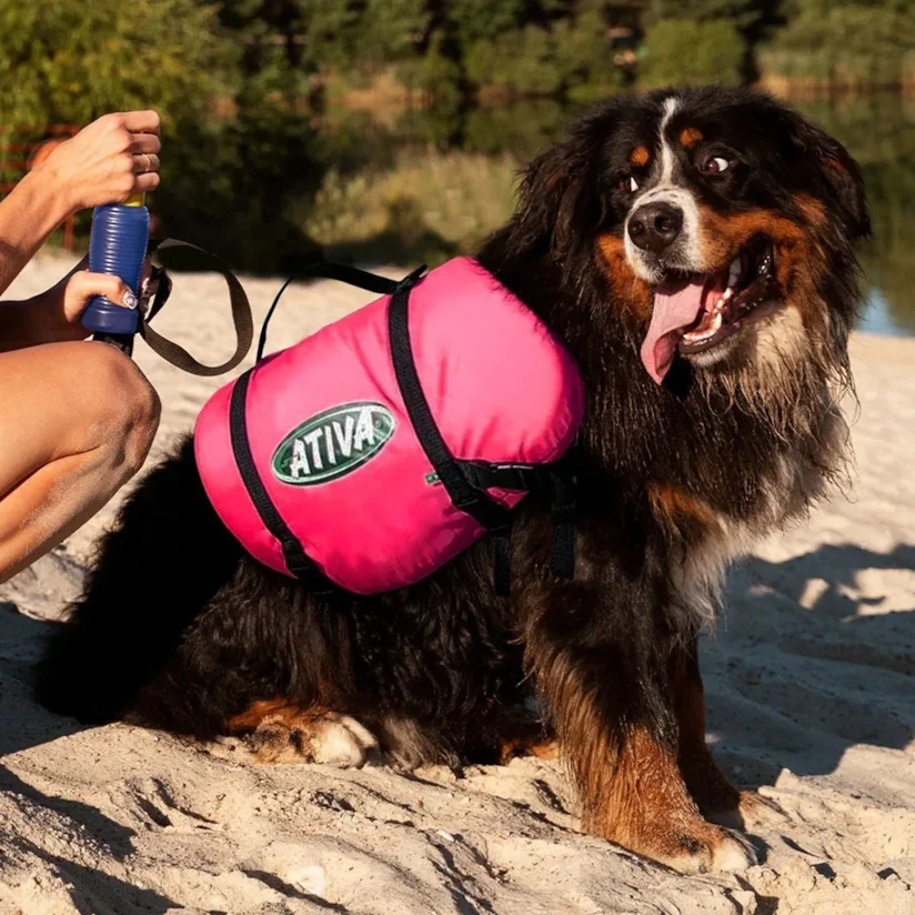 Colete Salva Vidas Pet Vest Ativa Rosa G