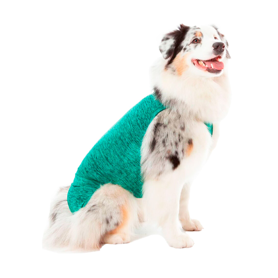 Roupa Cirúrgica Pet Med Duo Dry Regular Verde para Cães