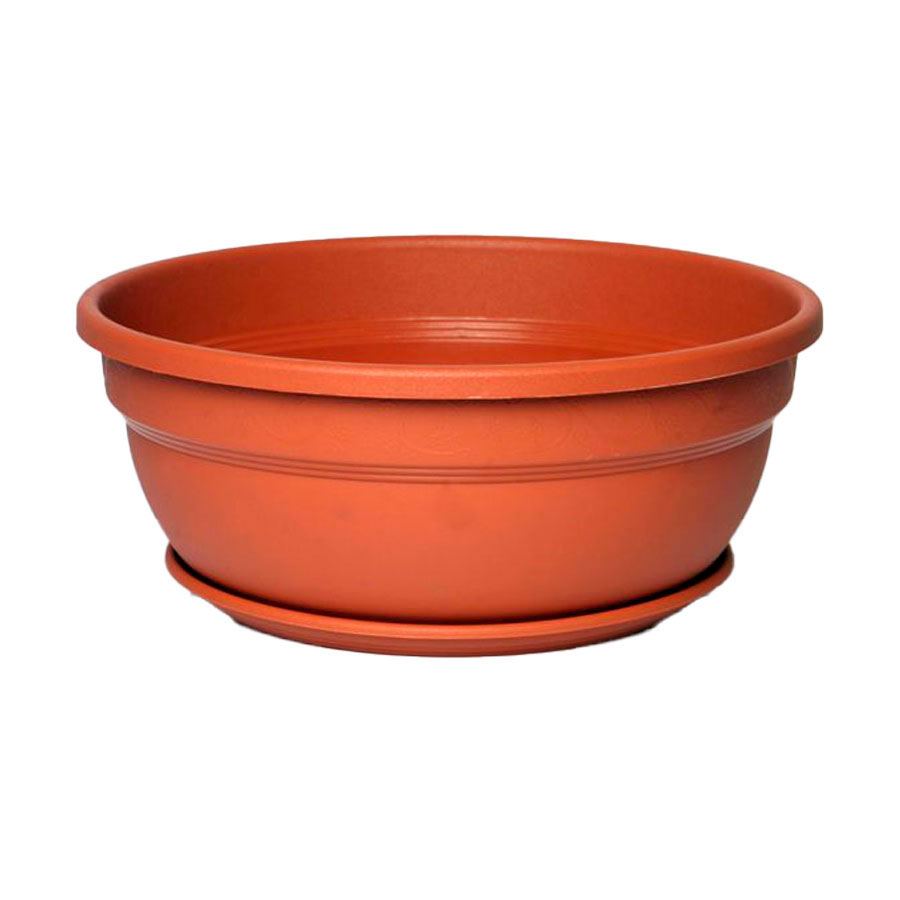 Cuia Vic com Prato Desli Terracota