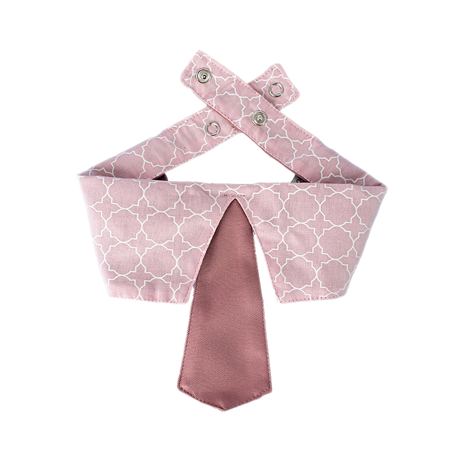 Gravata Modernpet Rosa Bebê para Cães - Estampas Sortidas