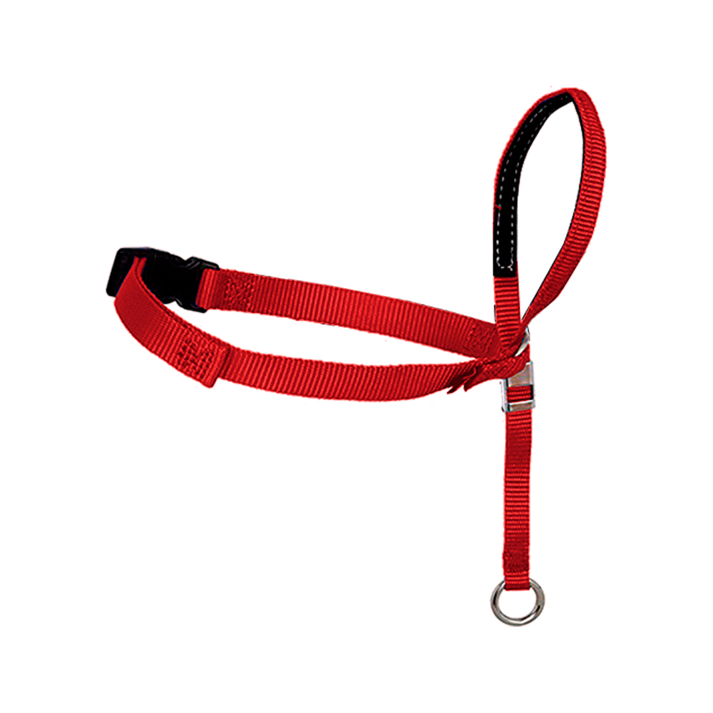 Focinheira Amicus Easy Antipuxão Vermelha para Cães - P