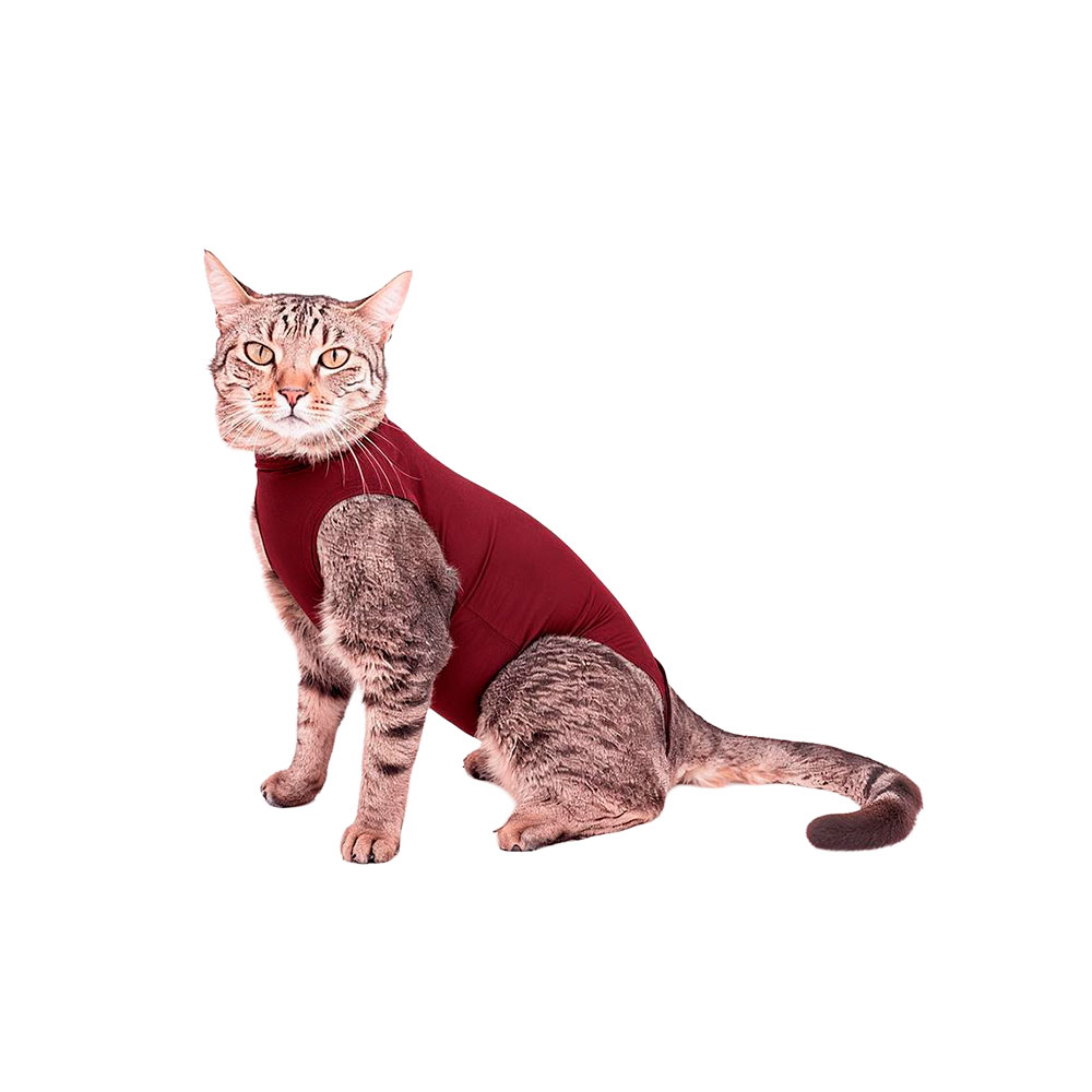 Roupa Pet Med Essencial Care Pet Freedom Bordô para Gatos