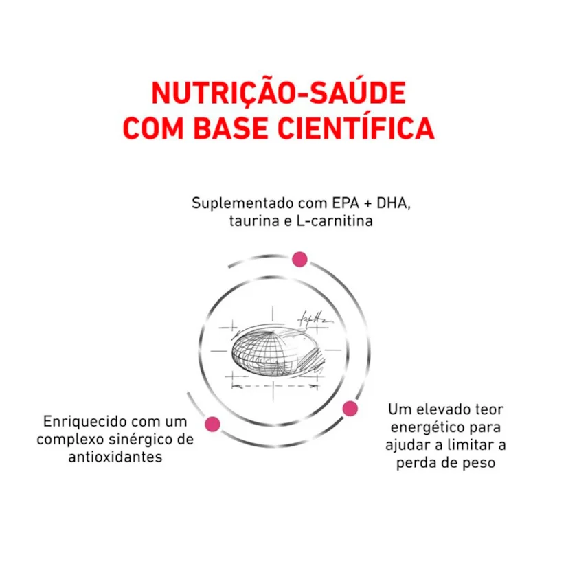 Ração Cães Royal Canin Veterinary Cardiac 2kg
