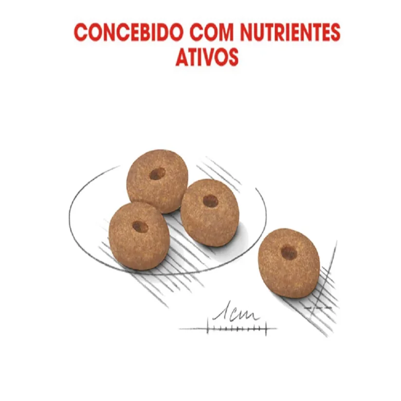 Ração Cães Royal Canin Mini Light 2,5kg