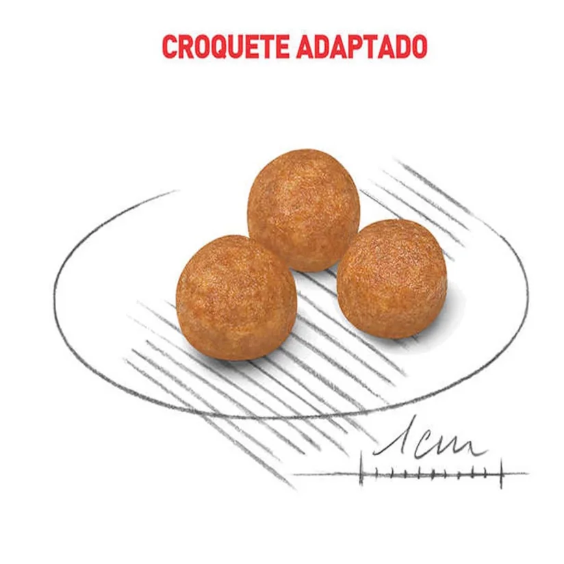 Ração Cães Royal Canin X-Small Adultos 1kg
