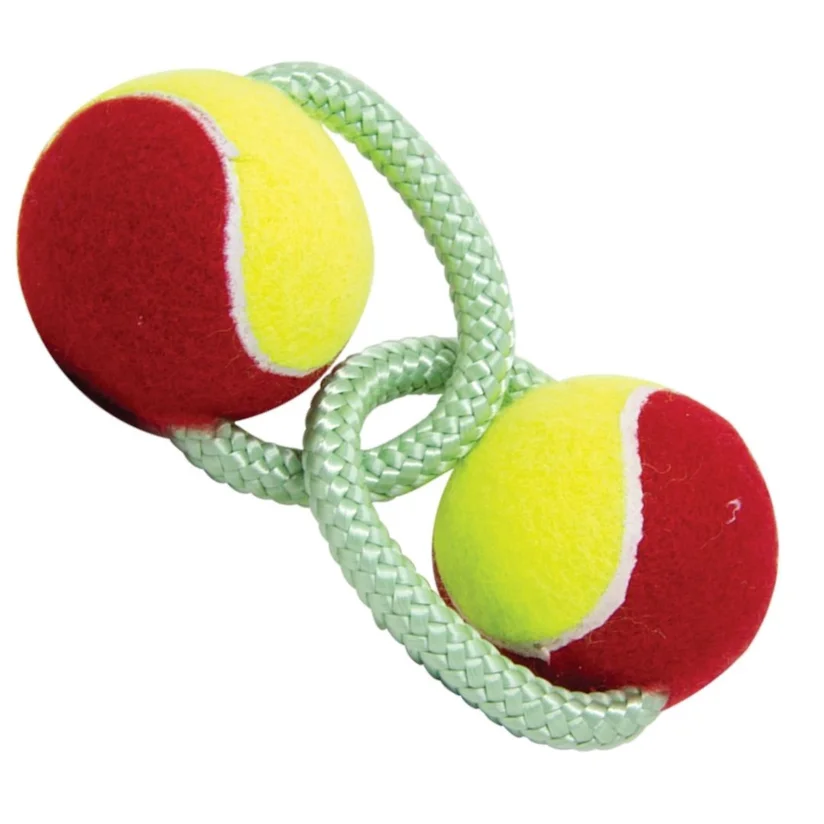 Brinquedo Cães LCM Borracha Push Dog com 2 Bolas 230mm