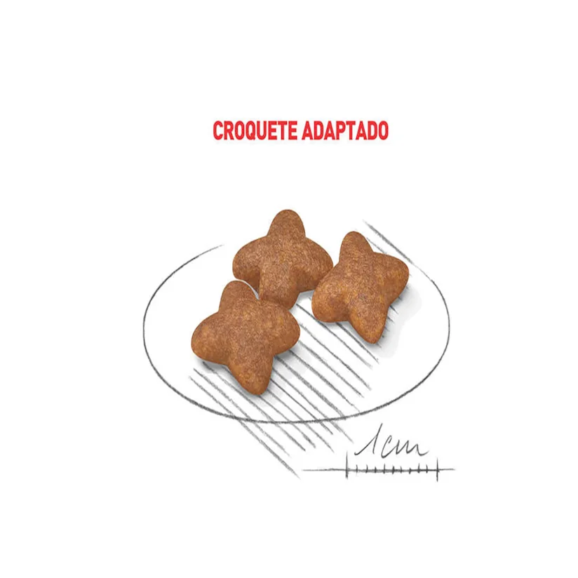 Ração Cães Royal Canin Mini Adultos 2,5kg