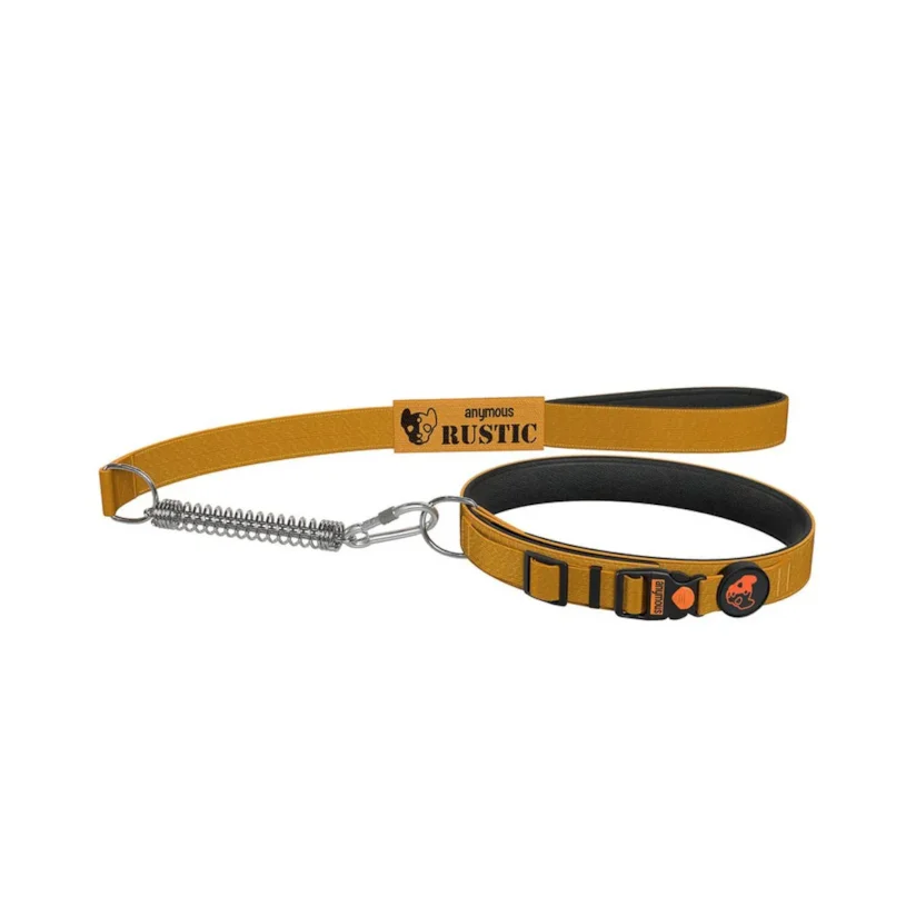 Coleira Com Guia Para Cães Anymous Rustic Kaqui M