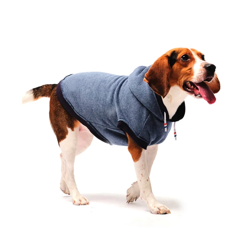 Roupa Cães Tutelo Moletom Comfy Azul M