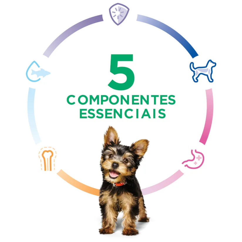 Ração Hill s Science Diet Cães Filhotes Small & Mini 5,67kg