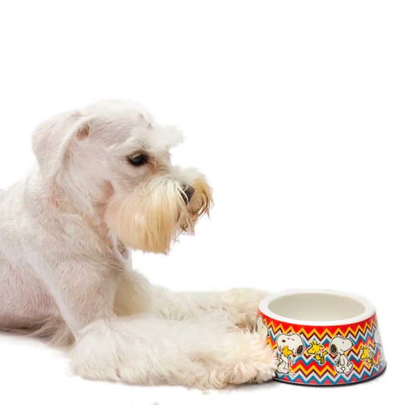 Comedouro Para Cães Melamina Snoopy Mosc Zooz Pets 750ml