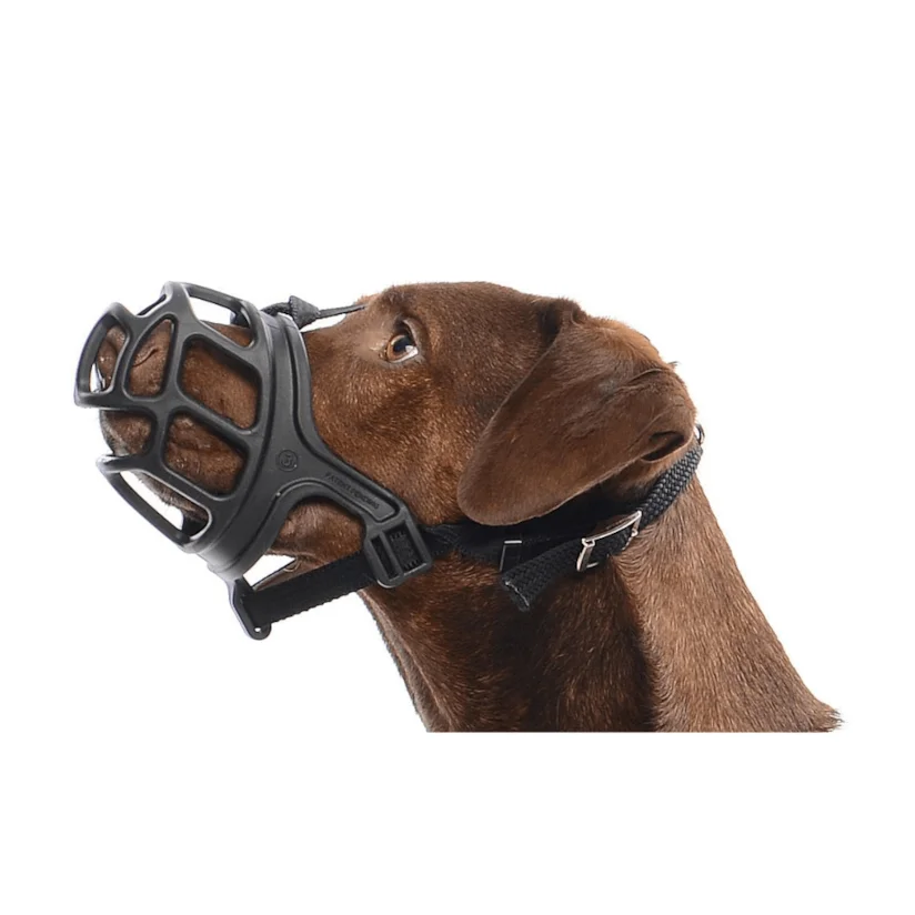 Focinheira Para Cães Kruuse Nº 3