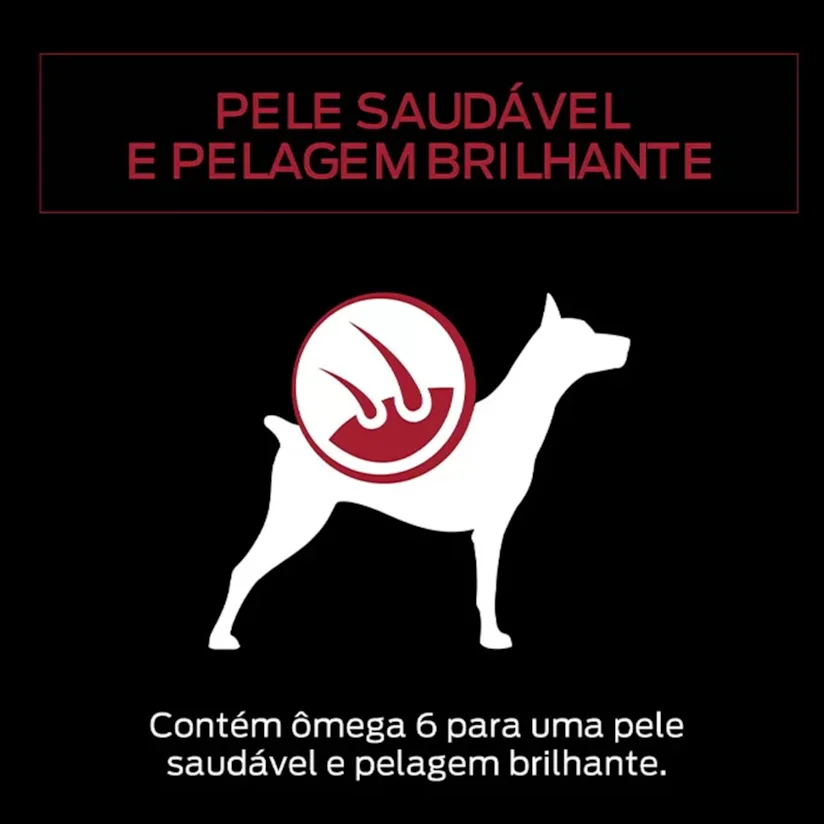 Ração Úmida Nestle Purina Cães Pro Plan Adultos Carne Sache 100g