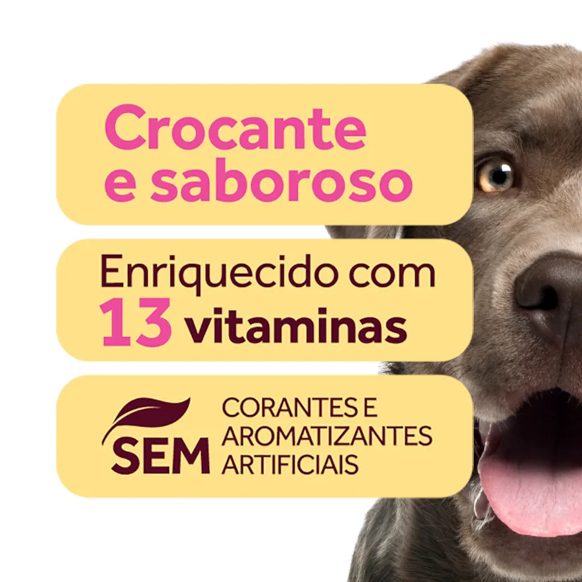 Biscoito GranPlus Cães Adultos Carne 300g