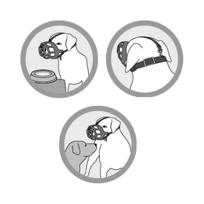 Focinheira Para Cães Kruuse Nº 6