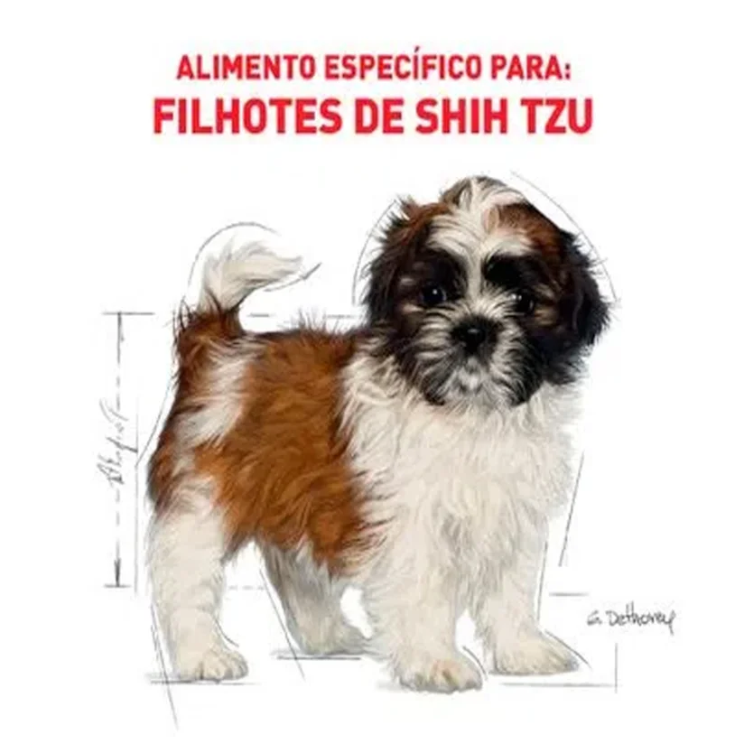 Ração Cães Royal Canin Shih Tzu Puppy 1kg